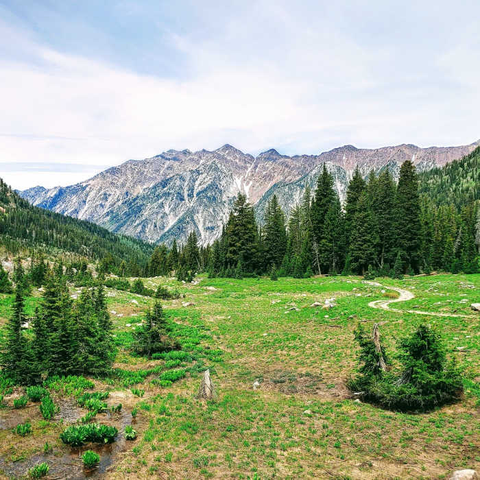 Near White Pine Lake Trail