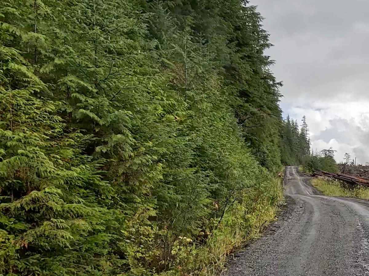 Shelter Cove Road (Section 2) photo 5