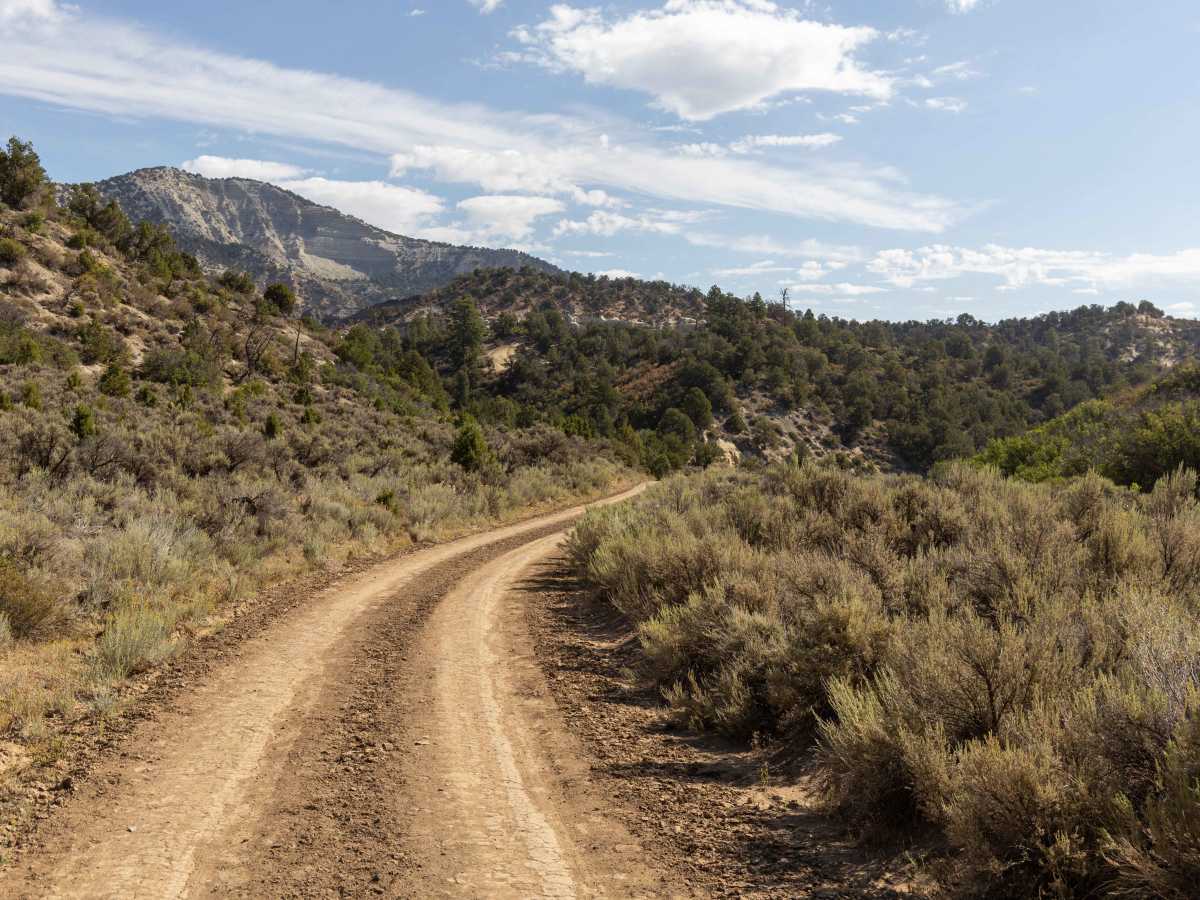 Dry Fork photo 5