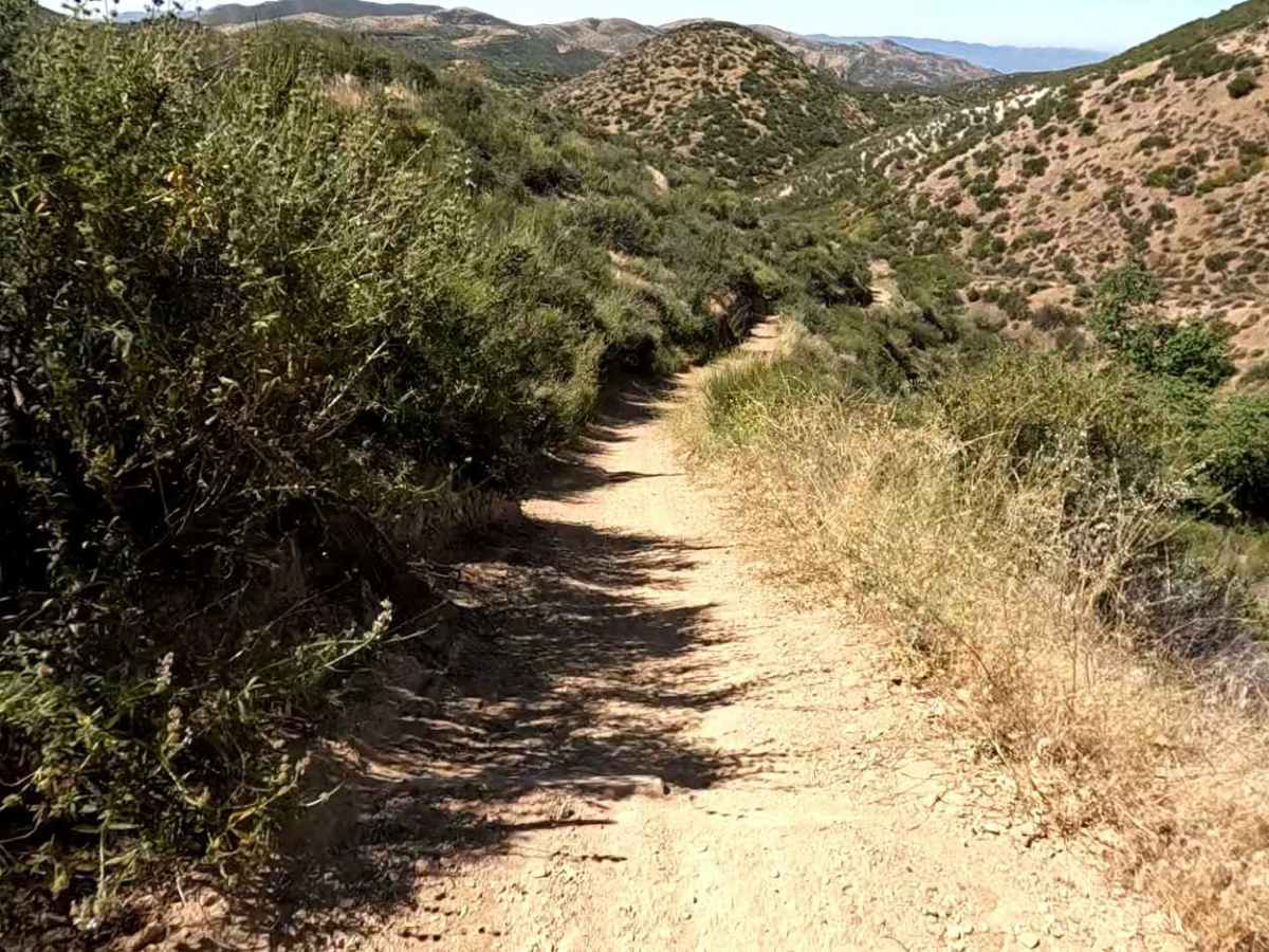 Flat OHV Trail photo 5
