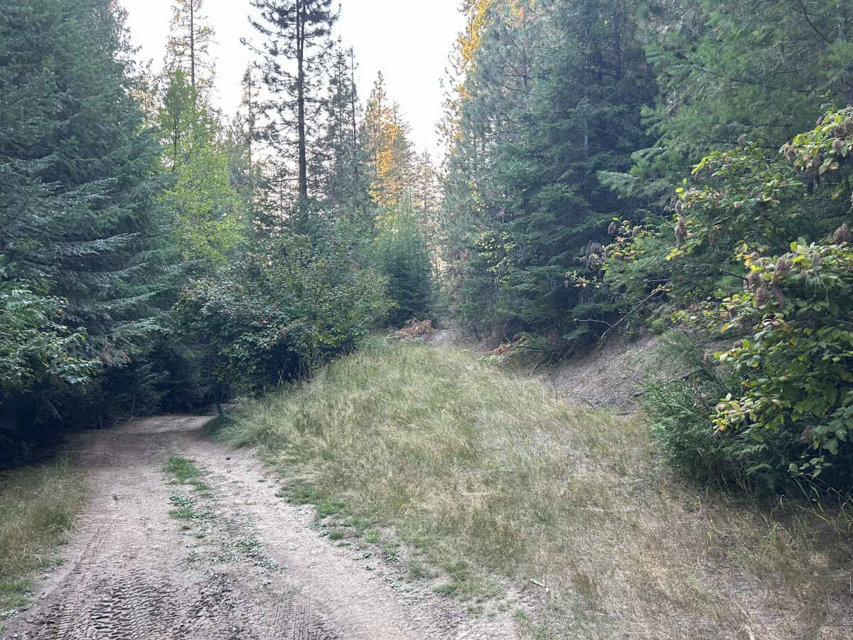 Carrico Mine - FS 4775  photo 6