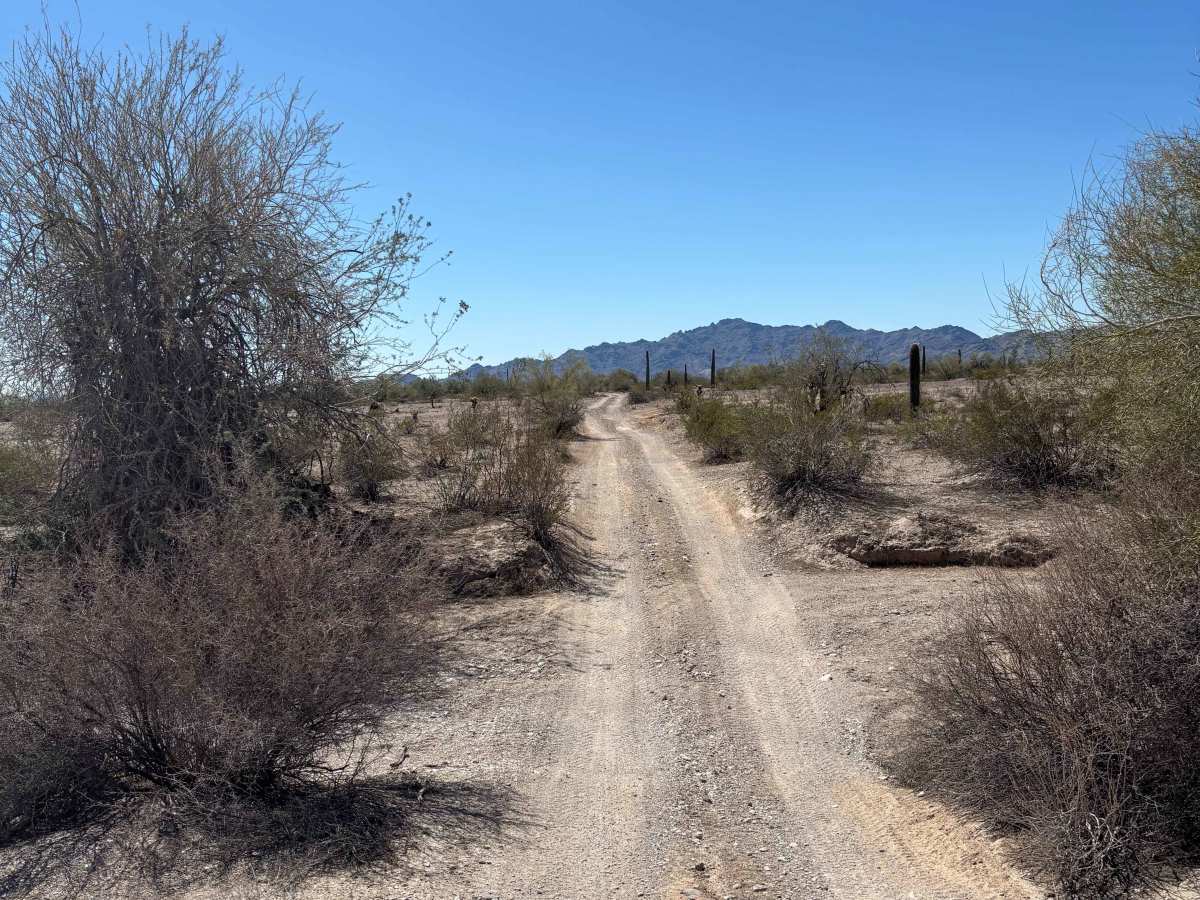 Beer Hill trail photo