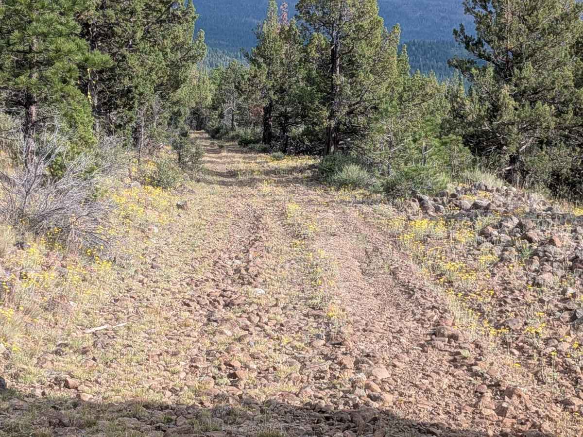 C33 Wild Horse Mountain - FS 44N11 photo 6
