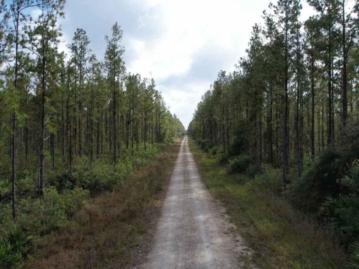 Gaston Road trail photo