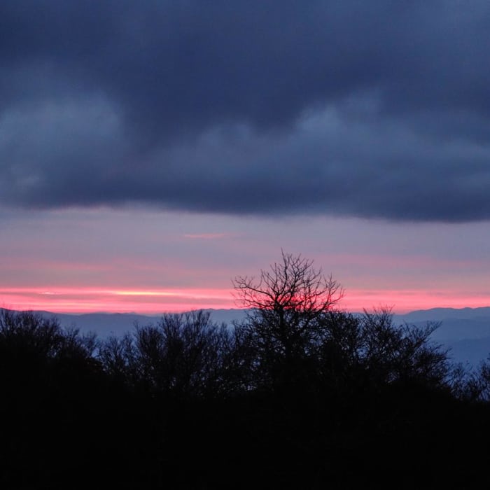 Near Joyce Kilmer-Slickrock Wilderness Loop Near Joyce Kilmer-Slickrock Wilderness Loop