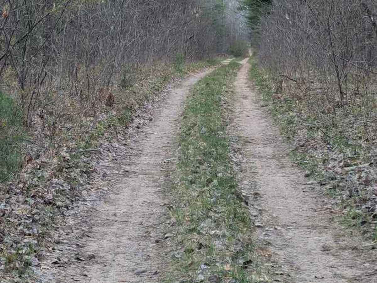 Shaltz Drive trail photo