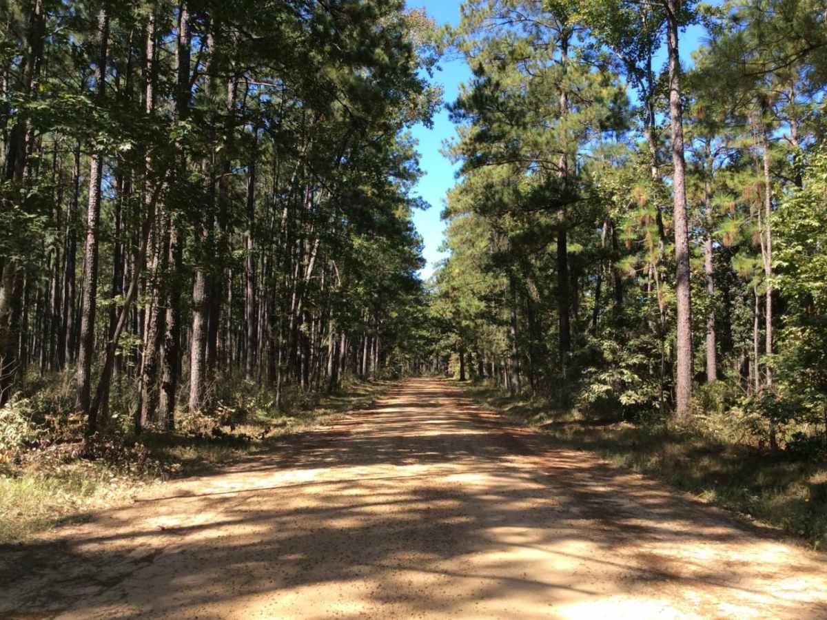 Eastern Evangeline District Trail trail photo