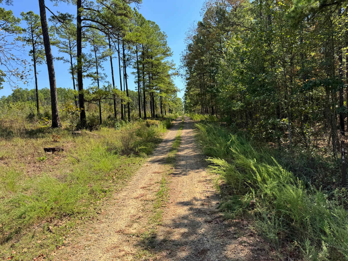 North Bluff trail photo