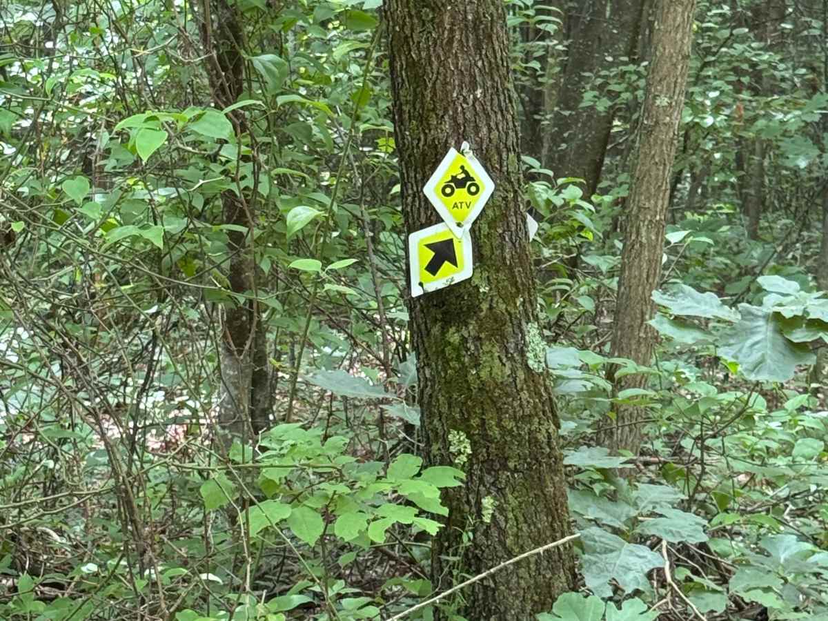 Trail 36 photo 2