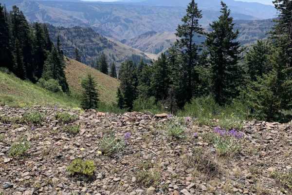 Hells Canyon Overlook - Dirt Road Approach