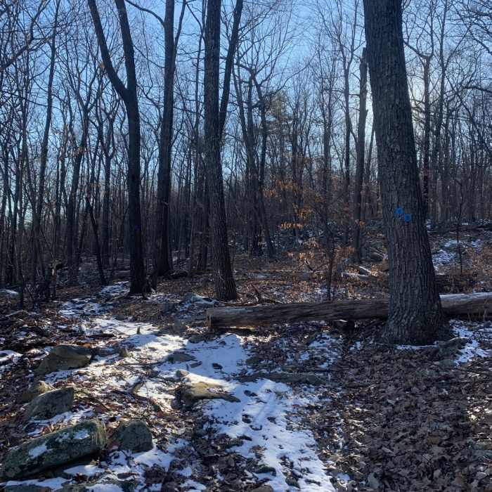 Near Illinois Mountain