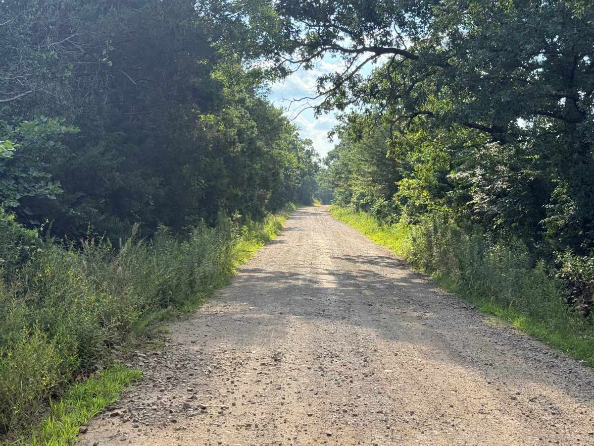 Black Fork Trail photo 3