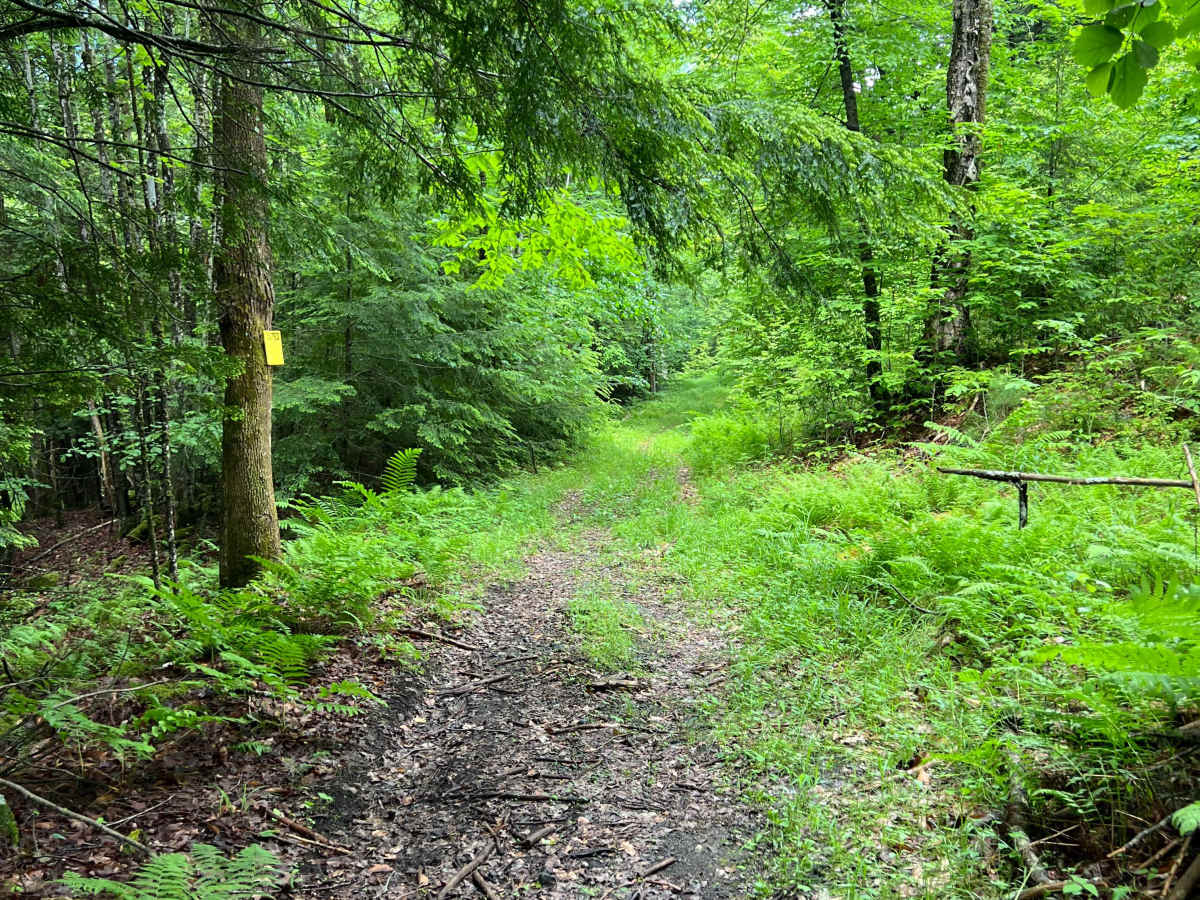 Porter Road photo 4