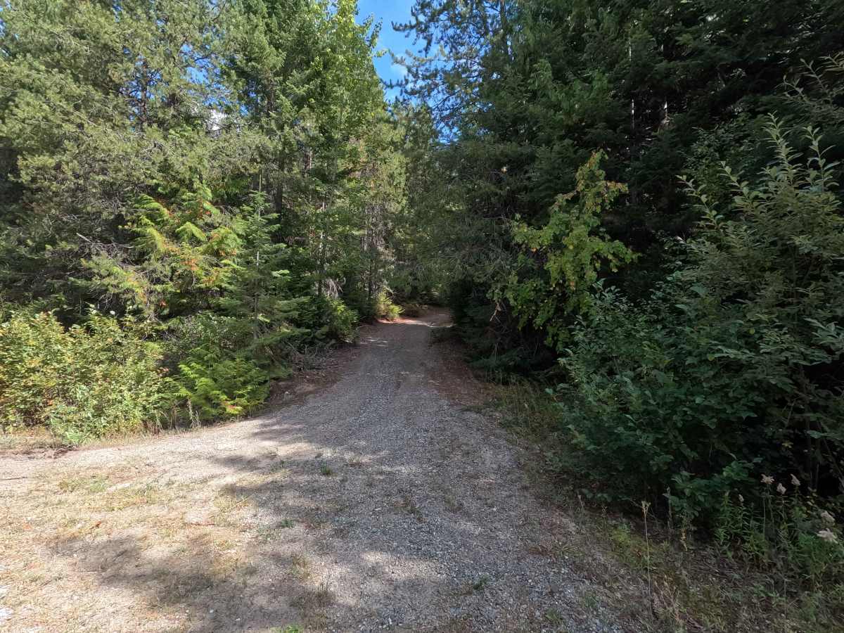 West Skip - FS 1342 trail photo