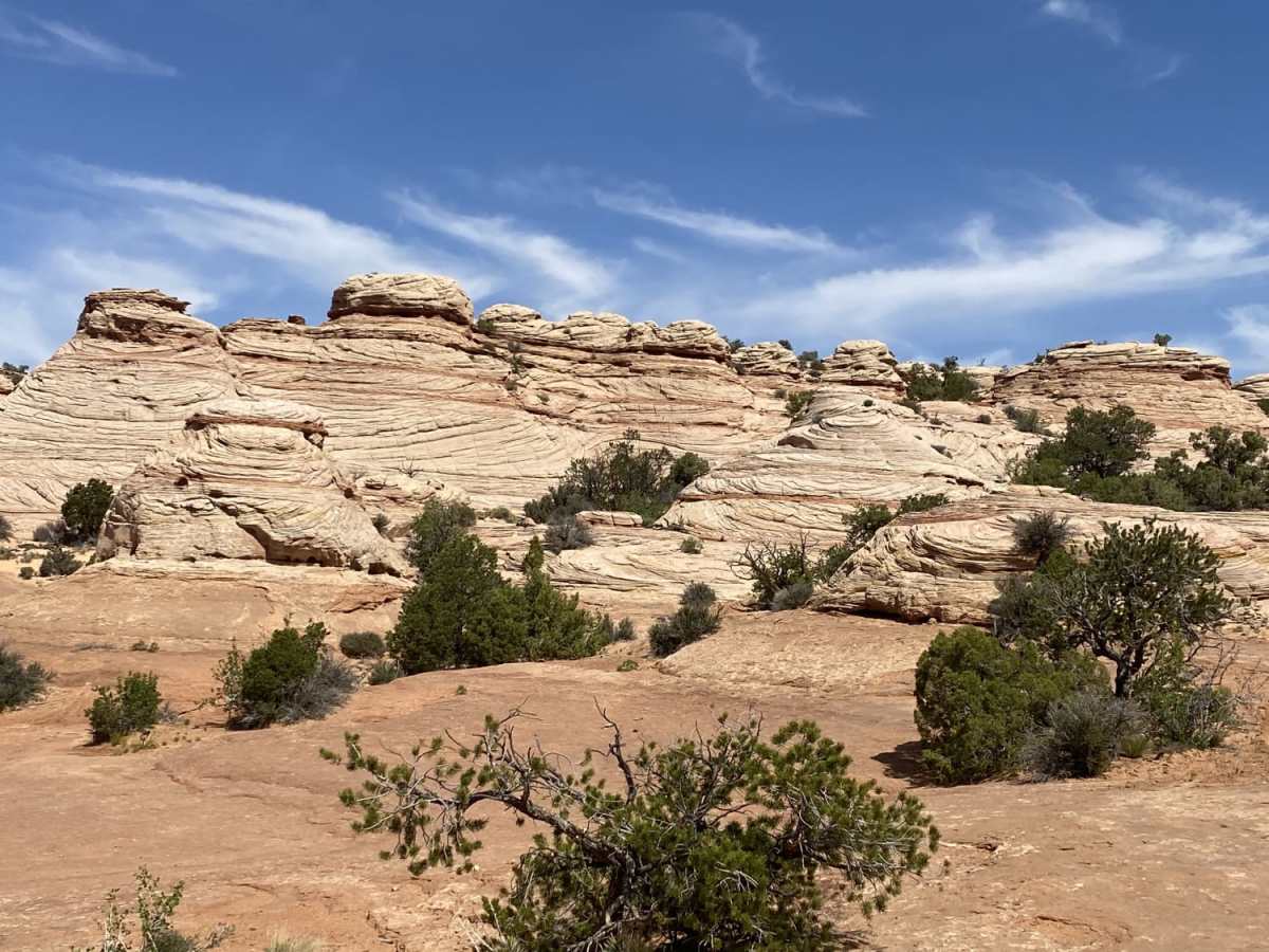 Moon Rock trail photo