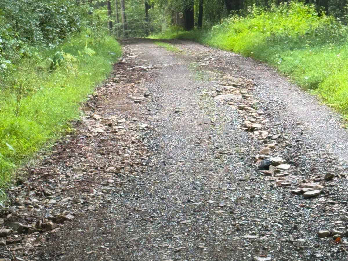 Fire Tower Road photo 6