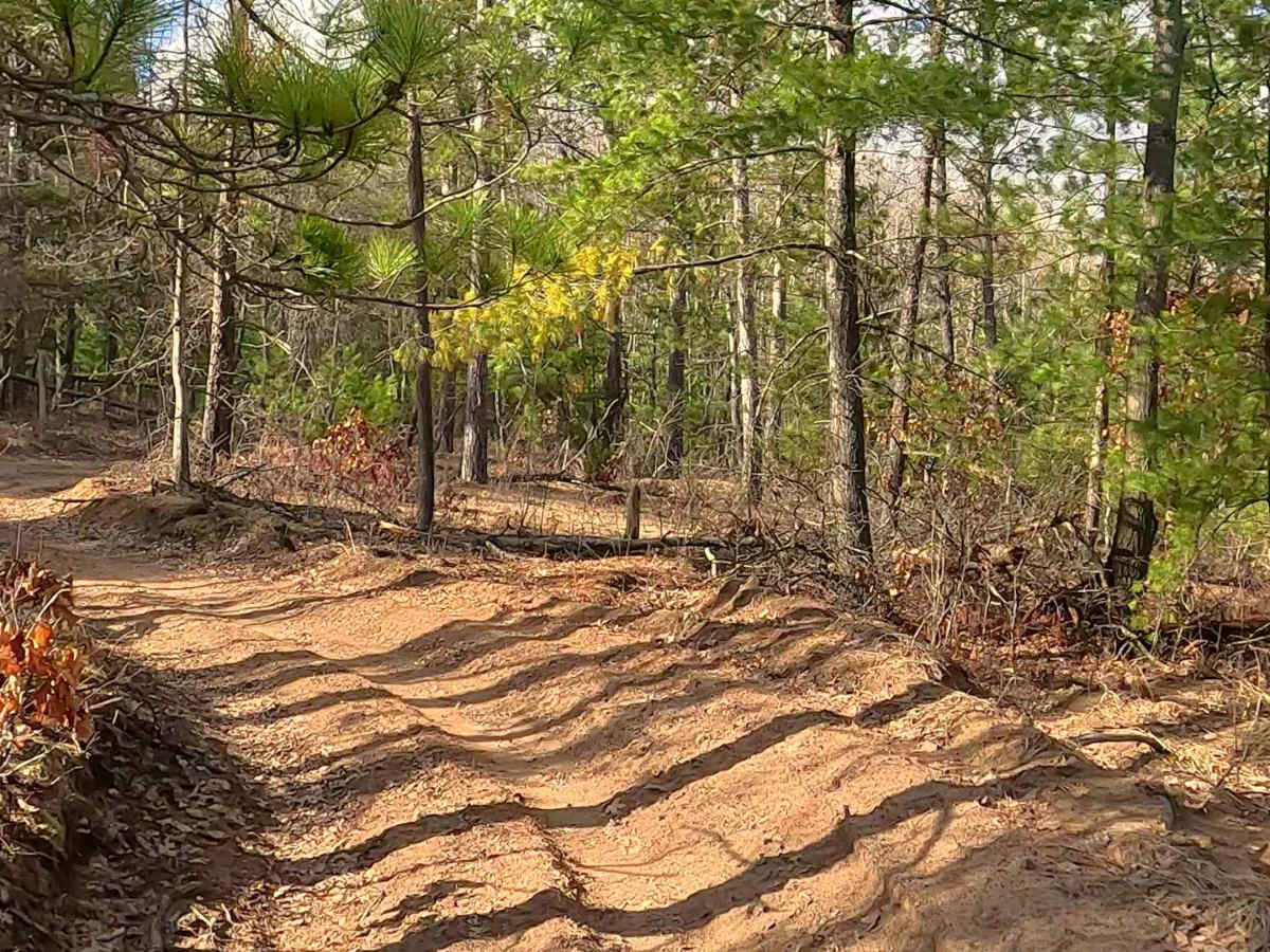 ORV H-57 : Bull Gap Hill Climb - Secondary Return Loop <50" photo 5