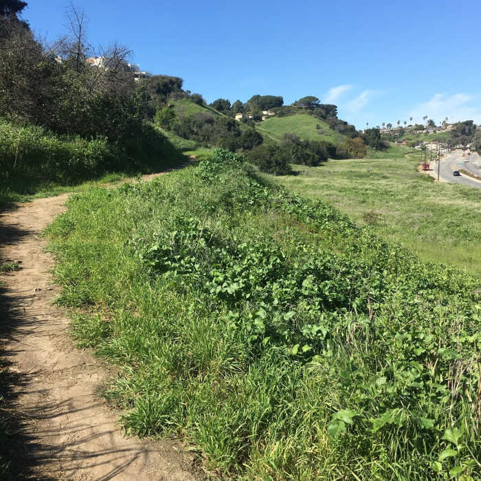 Enjoy a smooth tread along the Stocker Corridor Trail. Near Stocker Corridor Trail