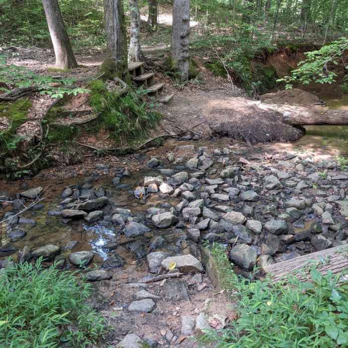 Near Mountains-to-Sea Trail: Segment 8