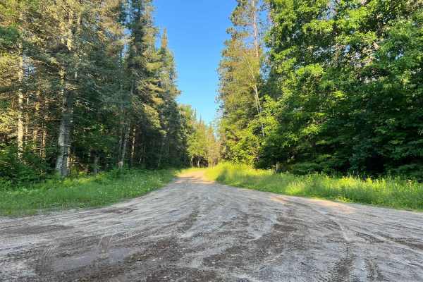 Spring Pond Road