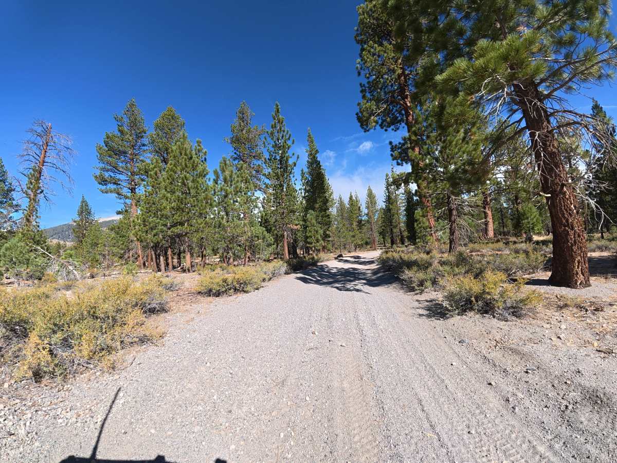 FS 3S104K trail photo