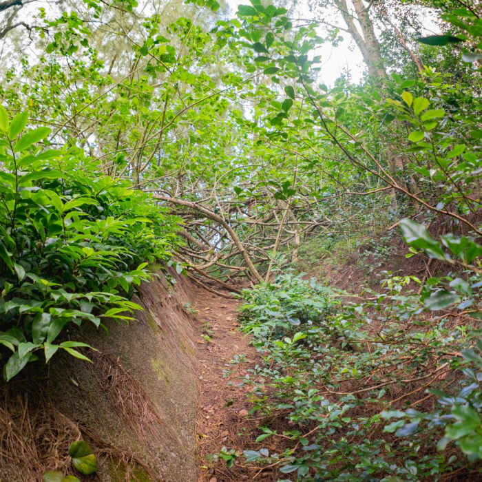 Near Pali Notches Near Pali Notches