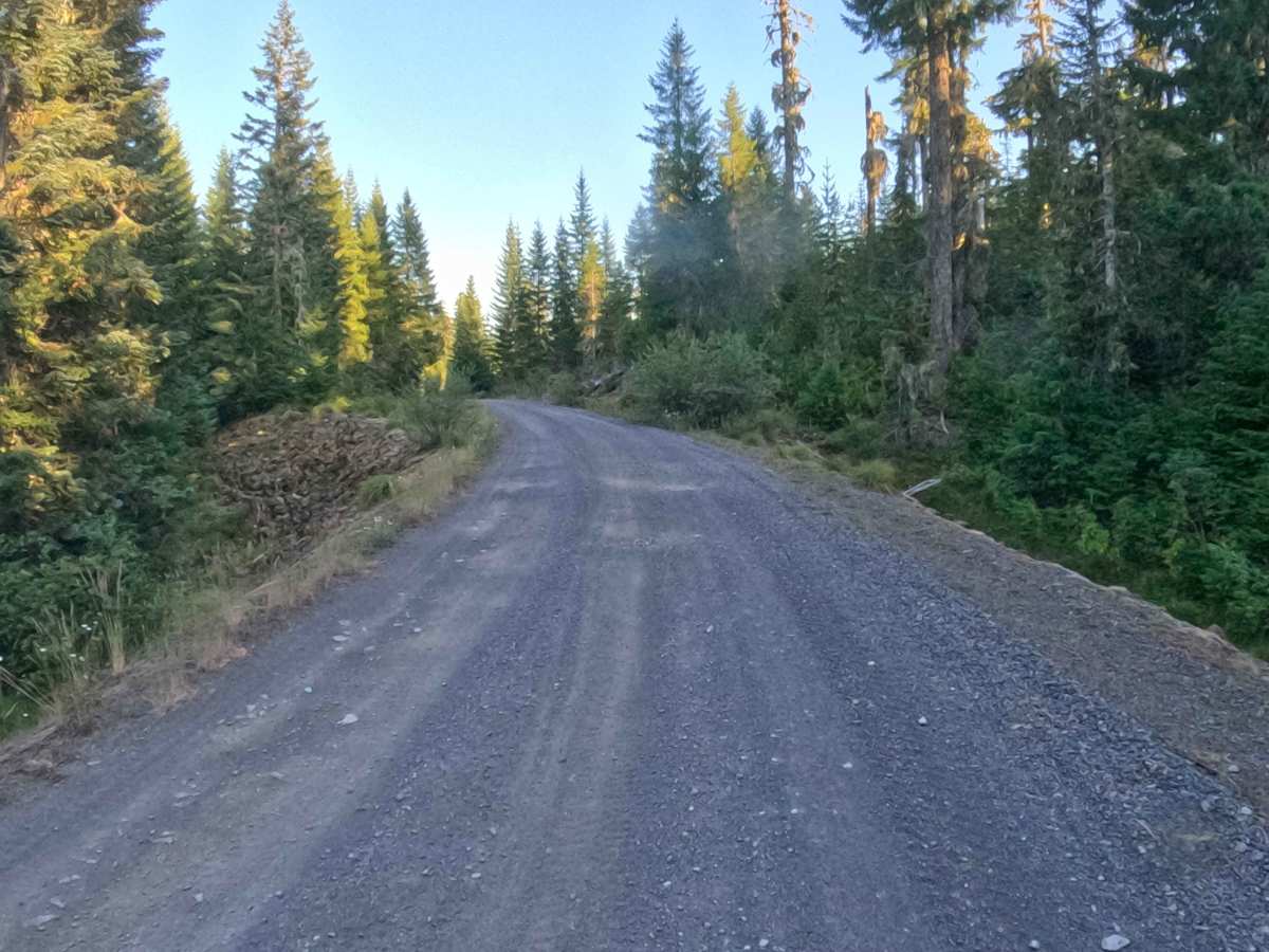 Straight Creek Road - FS 1162000  photo 5