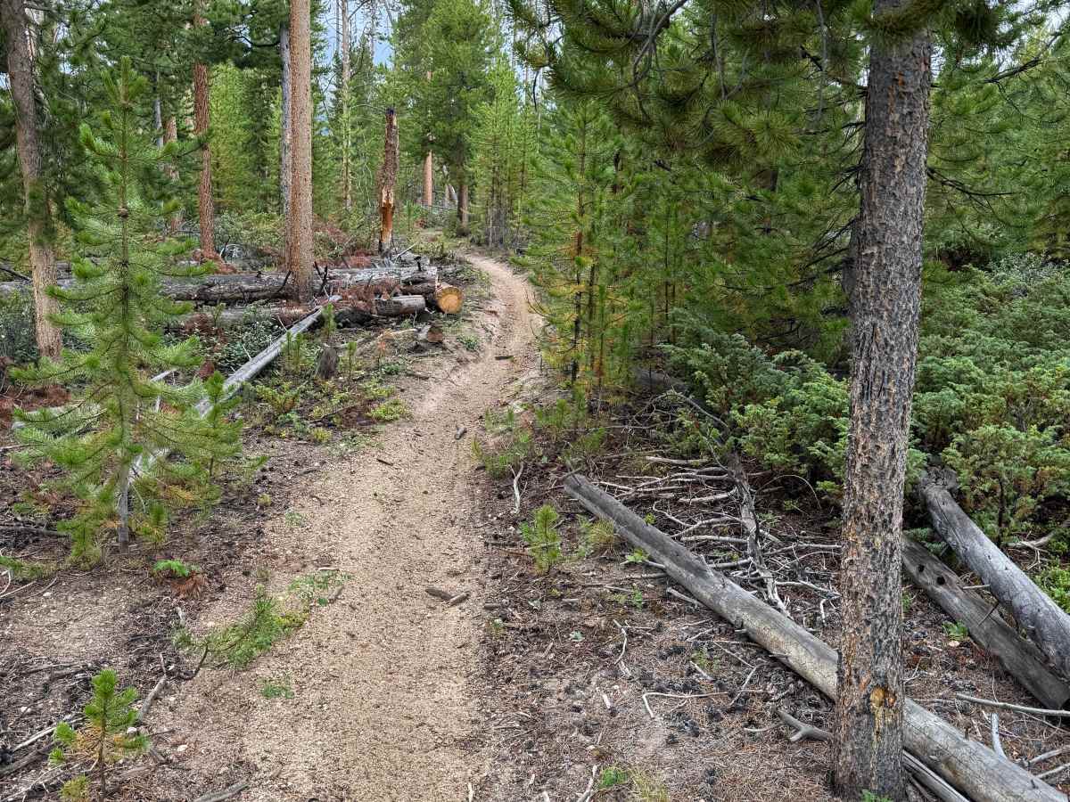 Snyder Creek Loop photo 5