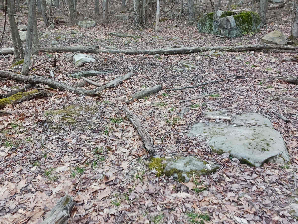 OHV 55 - Rock Run Recreation Area trail photo