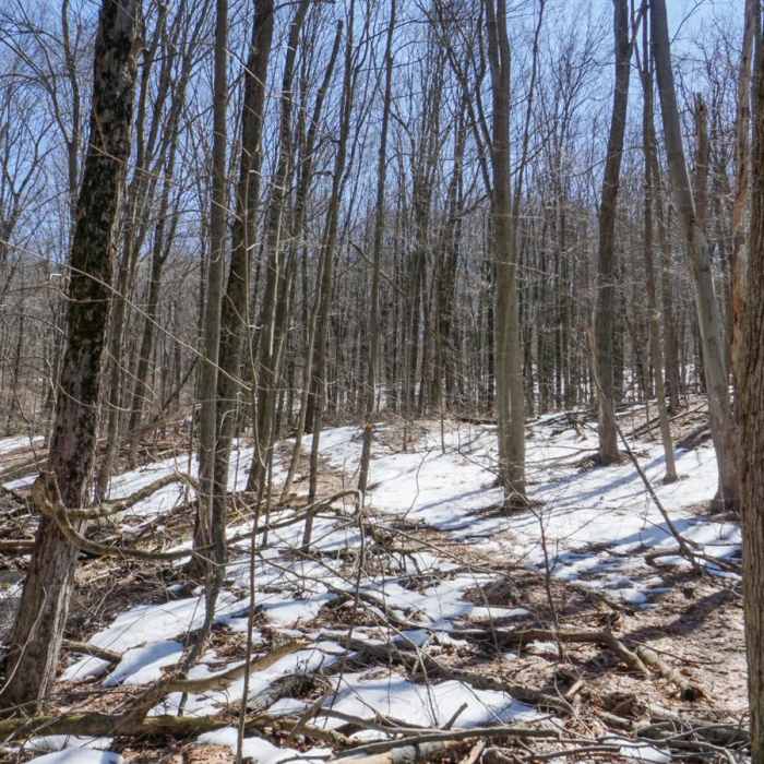 Near Clarence Fahnestock Trail Loop Near Clarence Fahnestock Trail Loop