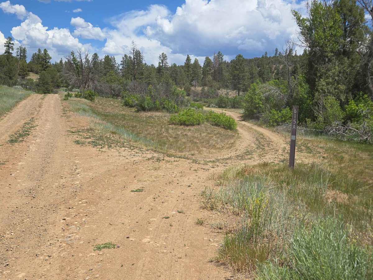 Turkey Creek A Road - FS 615 photo 5