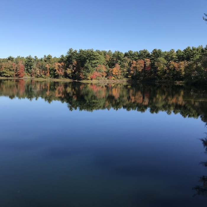 Fall colors reflected in Pud's Pond Near Borderland State Park Loop