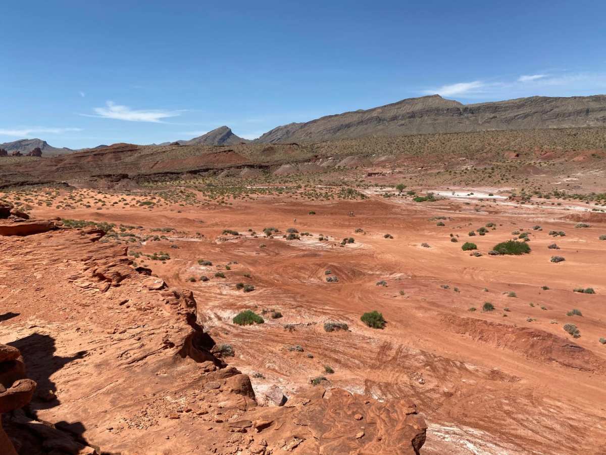 Gold Butte Loop photo 6
