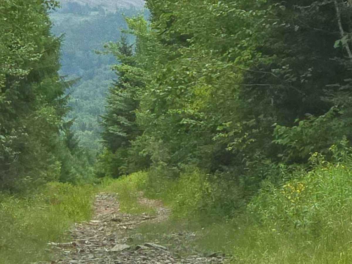 Caledonia Mountain  photo 2