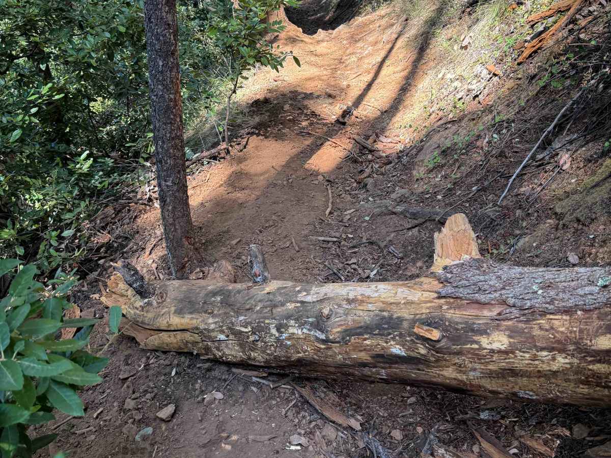 Trail 6 (12E50)   photo 3