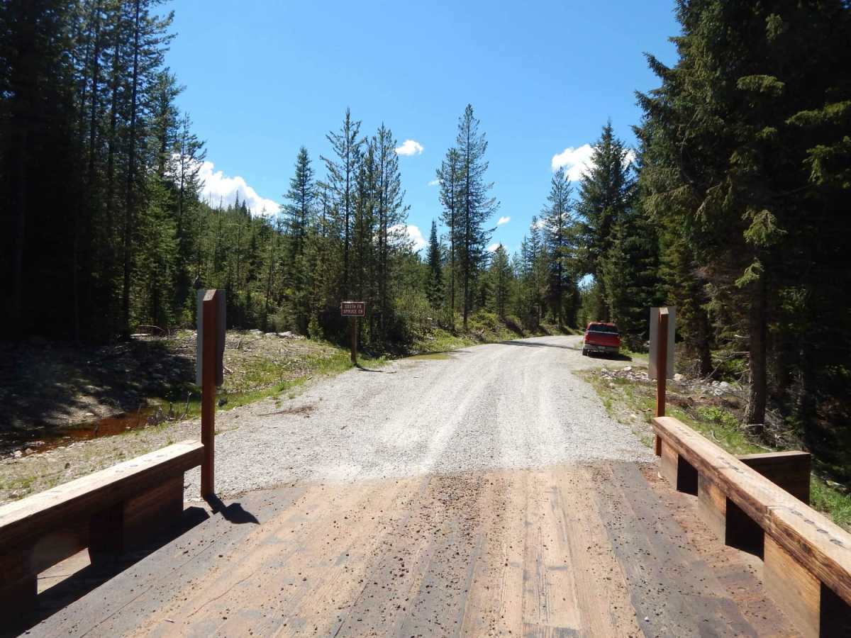 Elk Meadows - Packers Meadows trail photo