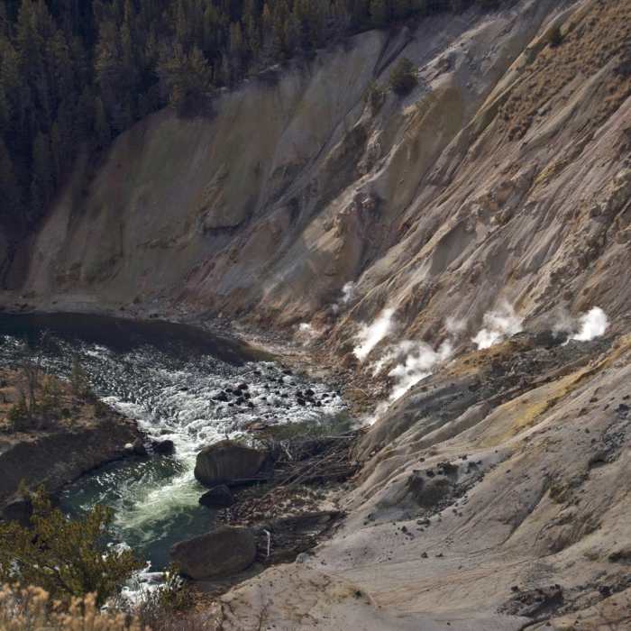 Near Yellowstone River Picnic Trail