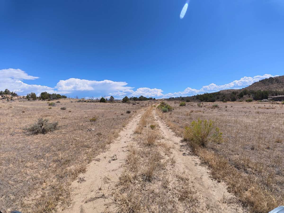 BLM 287 trail photo