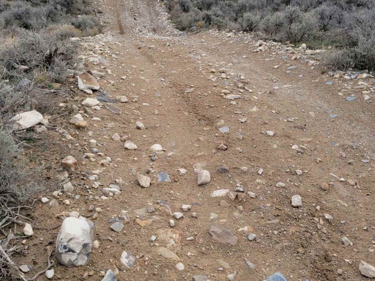 Pack Trail 1 photo 3