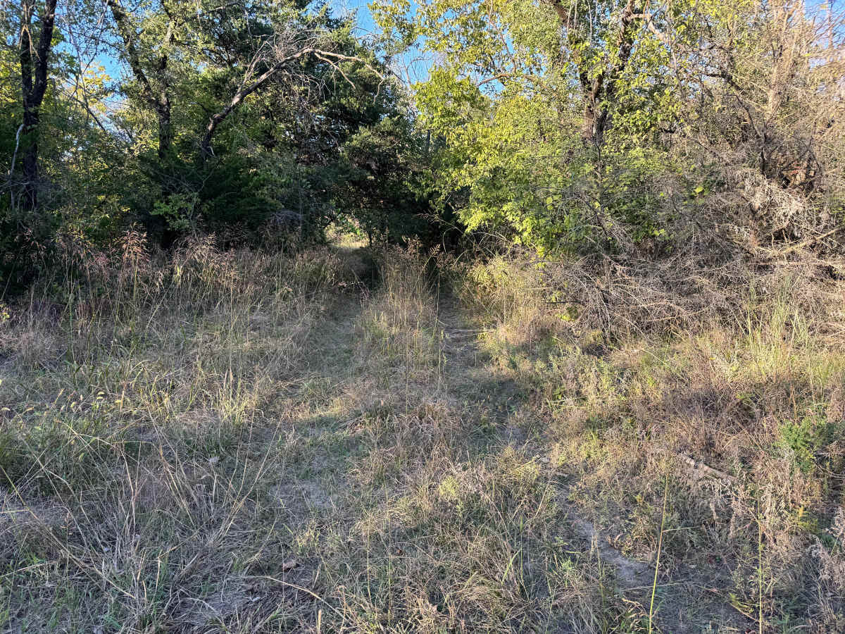 Rumble Bee trail photo