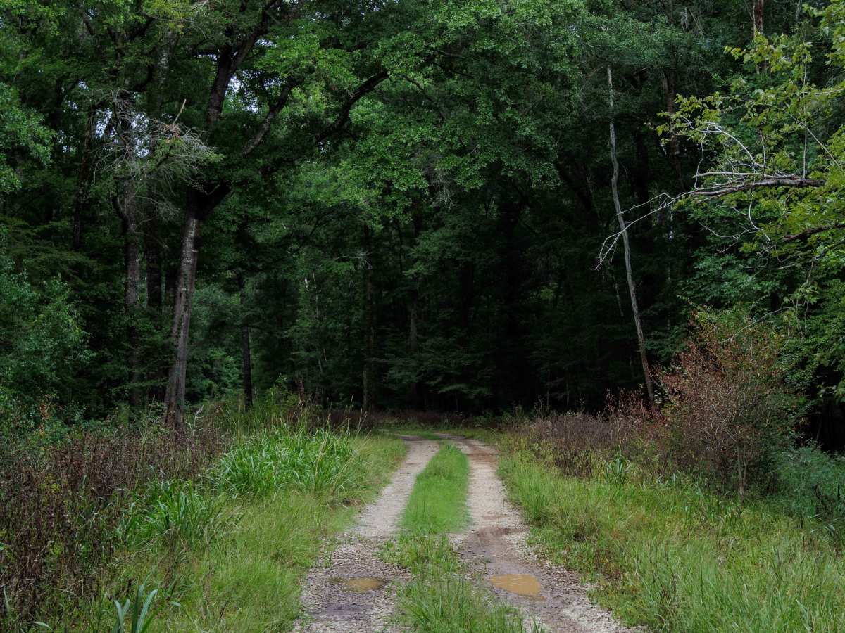 River Road photo 3