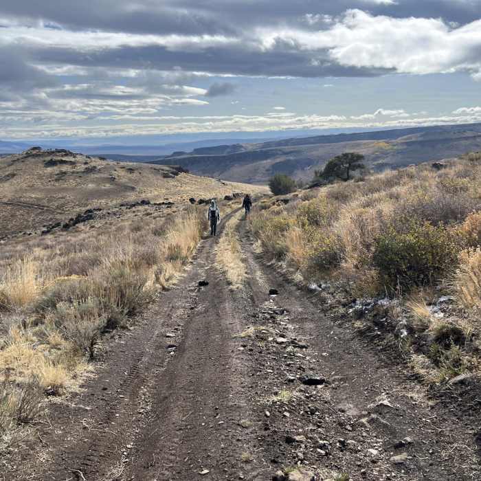 Near Little Whitehorse Road Near Little Whitehorse Road