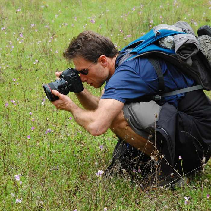Near Henry Coe (Jackson Field, Wasno Ridge, Bowl Trail)