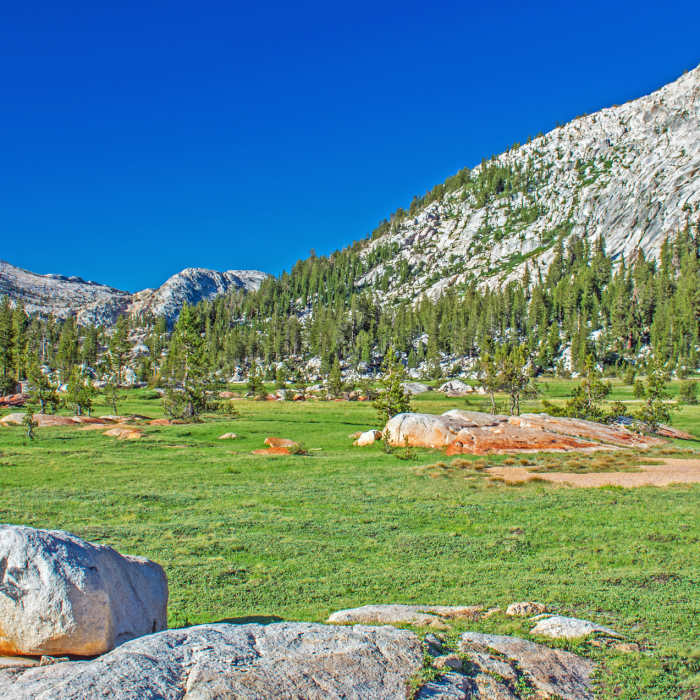 Near Buckeye  Pass Trail