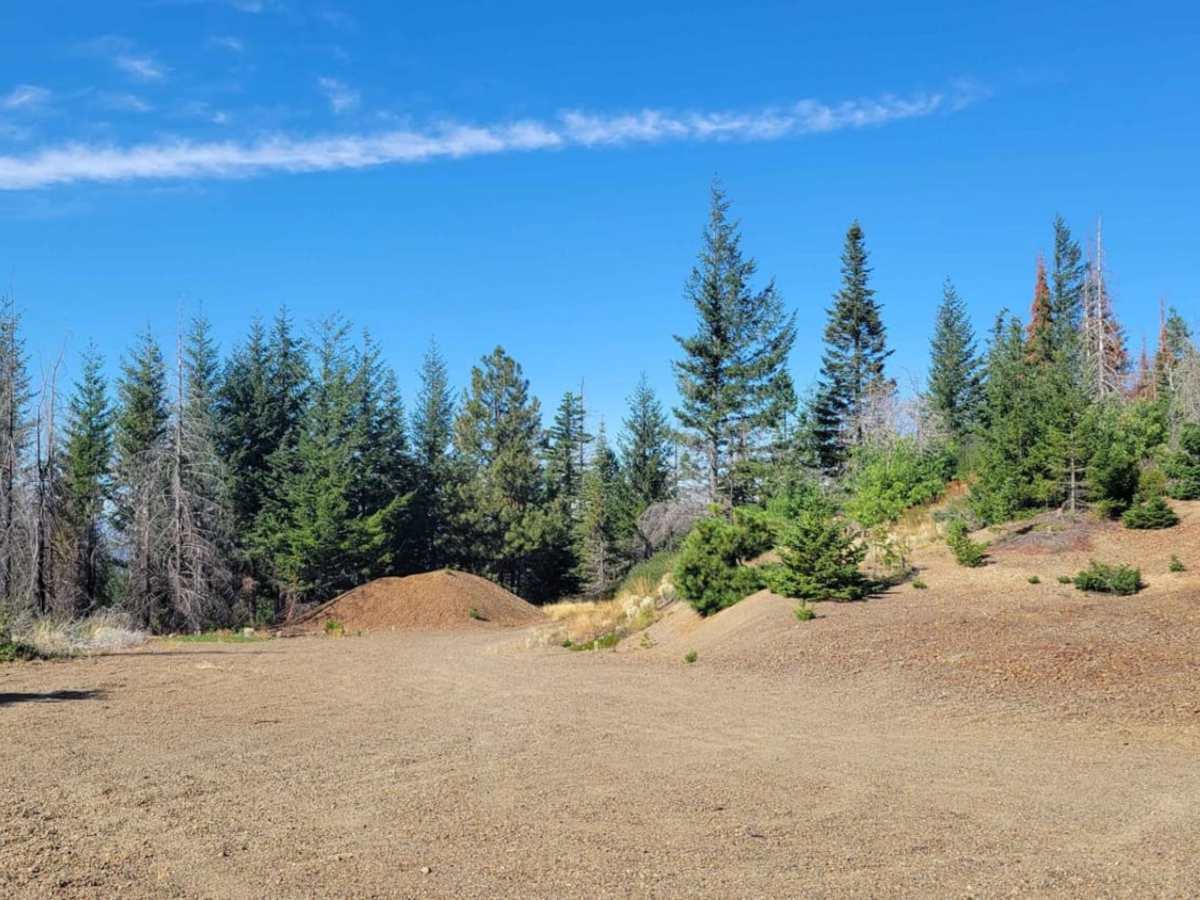Page Mountain photo 5