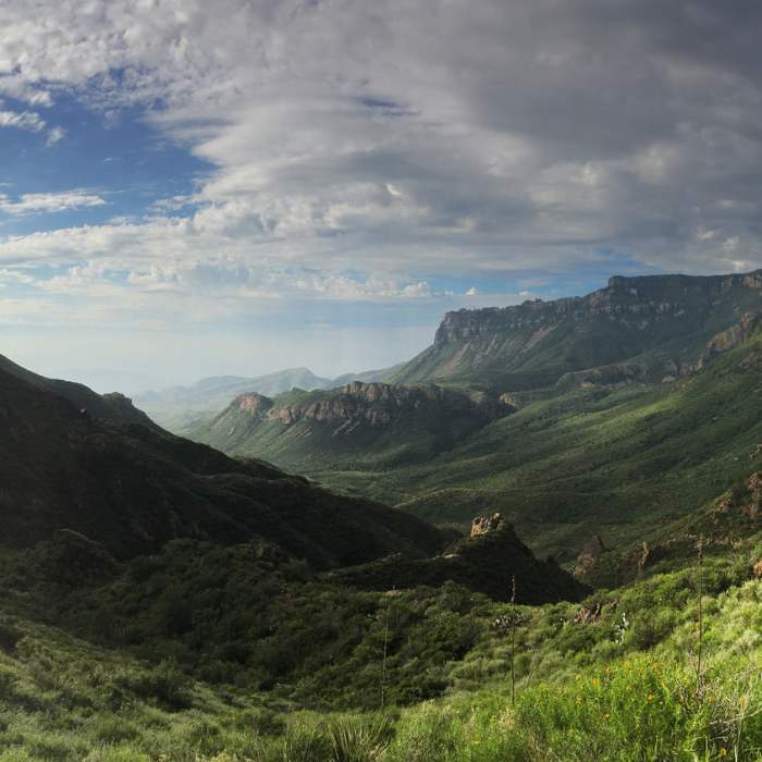 Near Lost Mine Trail