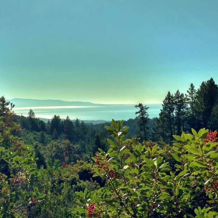 Near Ridge Trail