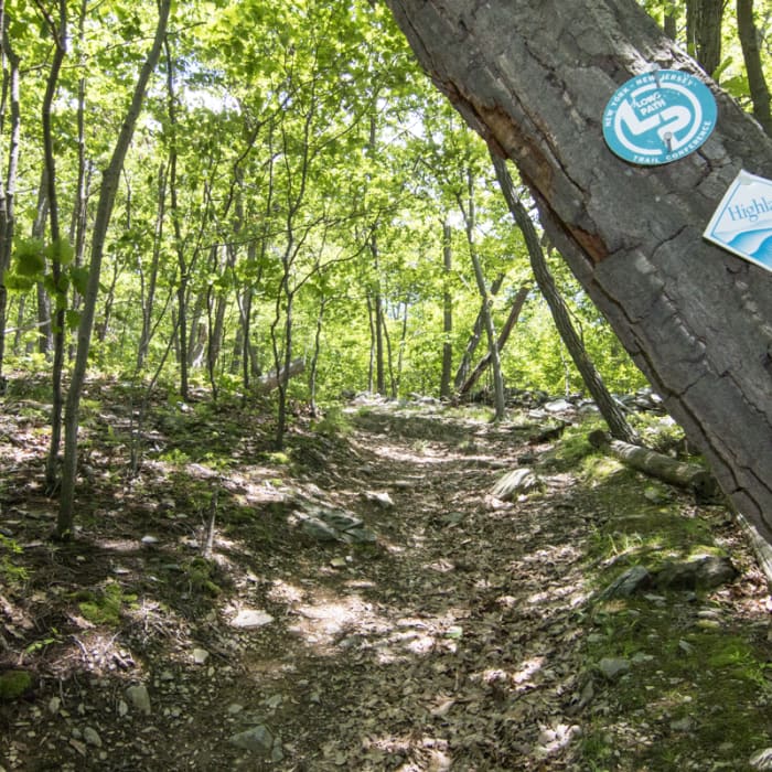 Near Jessup/Highlands/Long Path Trail
