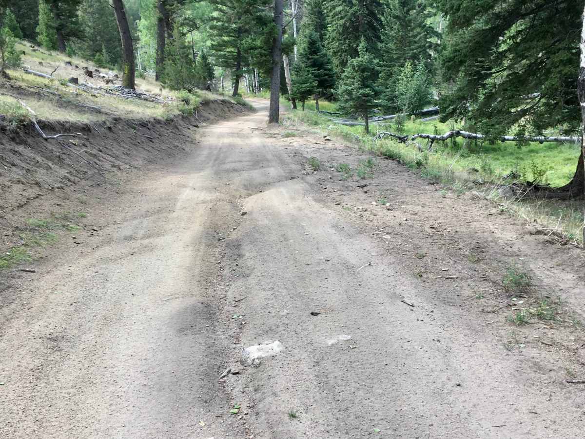 North Fork Road photo 3