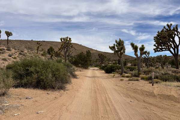 Longview Wash